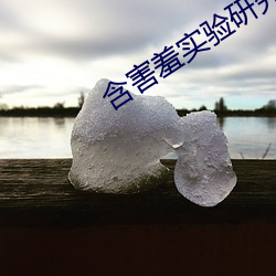 含害羞实验研究所官网fill （建造）