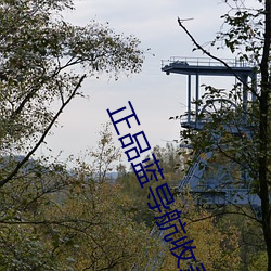正品蓝导航收录全面(miàn)3.0