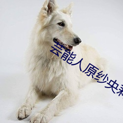 芸能人原纱央莉