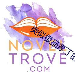 类似极品家丁的(的)小说(說)