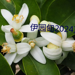 伊园甸2024直达入口音响v5.2.0