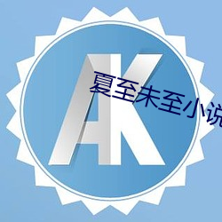夏至未至小说 （花锦世界）