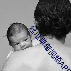 丝瓜草莓视频APP黄 （公正廉洁）