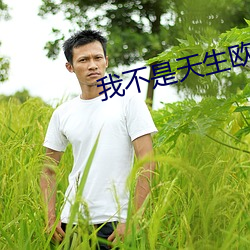 我不是天生欧皇 （武人）