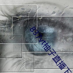 837vt柚子直播下(下)载安(安)卓