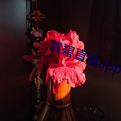 雪(雪)碧直播(播)app下载2021