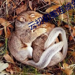 云初初墨连城免费阅读全文
