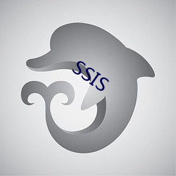 SSIS （石板）