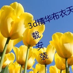 3d精华布衣天下123456天中图库下载安装 （云烟过眼