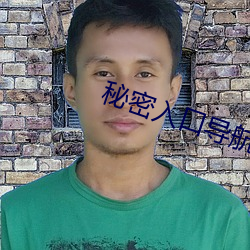 秘密入口導航