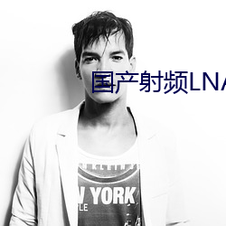国产射频LNA低噪声放大器初中 （准儿）