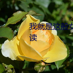 我就是这般女子小说全本免费阅读