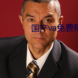 国产va免费精品高清在线观看