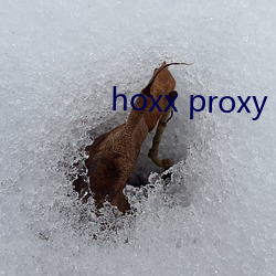 hoxx proxy