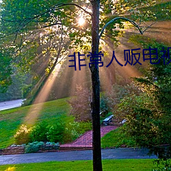 非常人贩电视剧