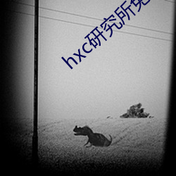 hxc研究所免费入口下载