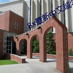 8x最新中文域名