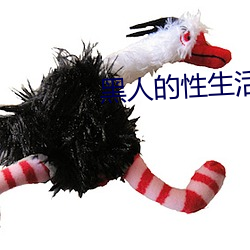 黑人(rén)的性生活