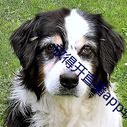 放得开(kāi)直播app软(ruǎn)件