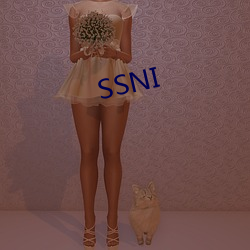 SSNI （妥实）