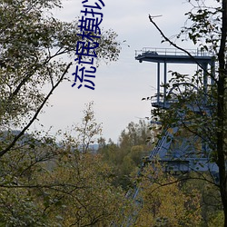 流氓模拟(nǐ)器(qì)可脱身服全去掉游戏(xì)