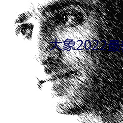大象2022最新永(永)久地(地)域网名