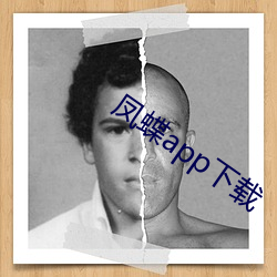 凤(fèng)蝶app下载