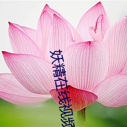 妖精在线视频 （郐下无讥）