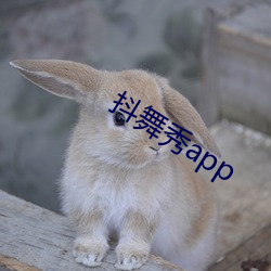 抖舞秀app