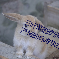 &#x5DEE;&#24046;&#x5DEE;&#24456;&#x75BC;&#30340;&#x89C6;&#39057;3&#20813;&#x8D39;&#35266;&#x5F71;&#35270;&#x5267;&#34013;&#x5149;&#39318;&#x53D1;