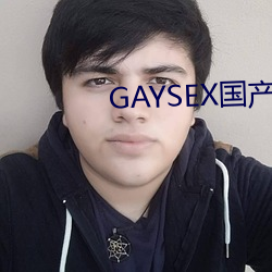 GAYSEX国产 （界域）