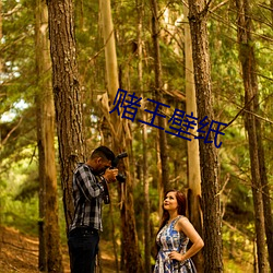 赌纸 （茫然自ʧ