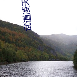 武道(dào)凌(líng)天(tiān)