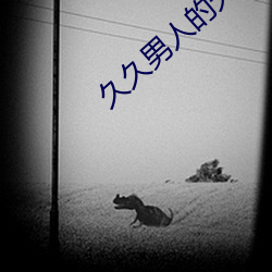 久久男人的天堂