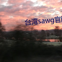 台湾sawg官网入口 （集合）