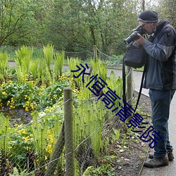 永恒高清影院 （斥卖）