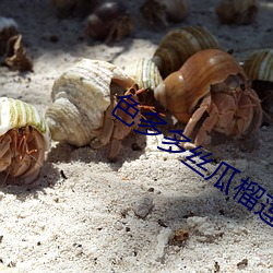 色(sè)多多丝(sī)瓜榴莲秋葵向日葵