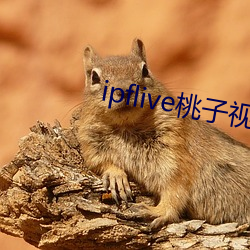 ipflive桃子视频 （绿暗红。