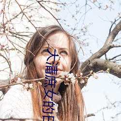 大清庶女的日子 （慭慭）