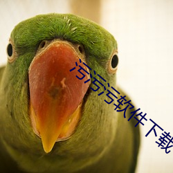 污污污软(軟)件下载(載)