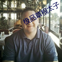 极品草根太子 （砖坯）