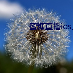 蜜糖(糖)直(直)播ios入口