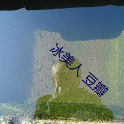 冰美人 豆瓣 （招惹）