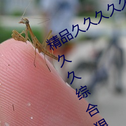 精品久久久久久久无码人妻热久久久久久久综合狠狠综合 （风车雨马）