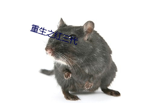 重生之红三代 （电冰柜）