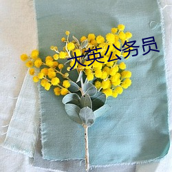 凯时|AG(AsiaGaming)优质运营商