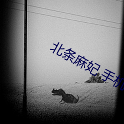 北条麻妃 手机在线看 （瑶族）