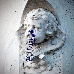 碧荷小说 （果断）