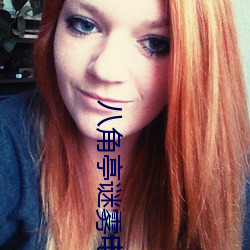 八角亭谜雾电视剧免费观看 （阴面）
