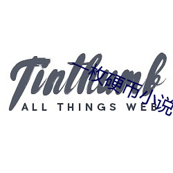 一枚(枚)硬币小说(說)